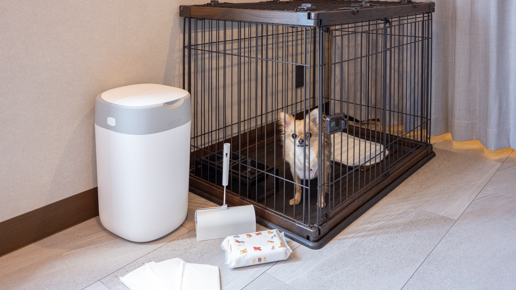 ワンちゃん同伴可客室