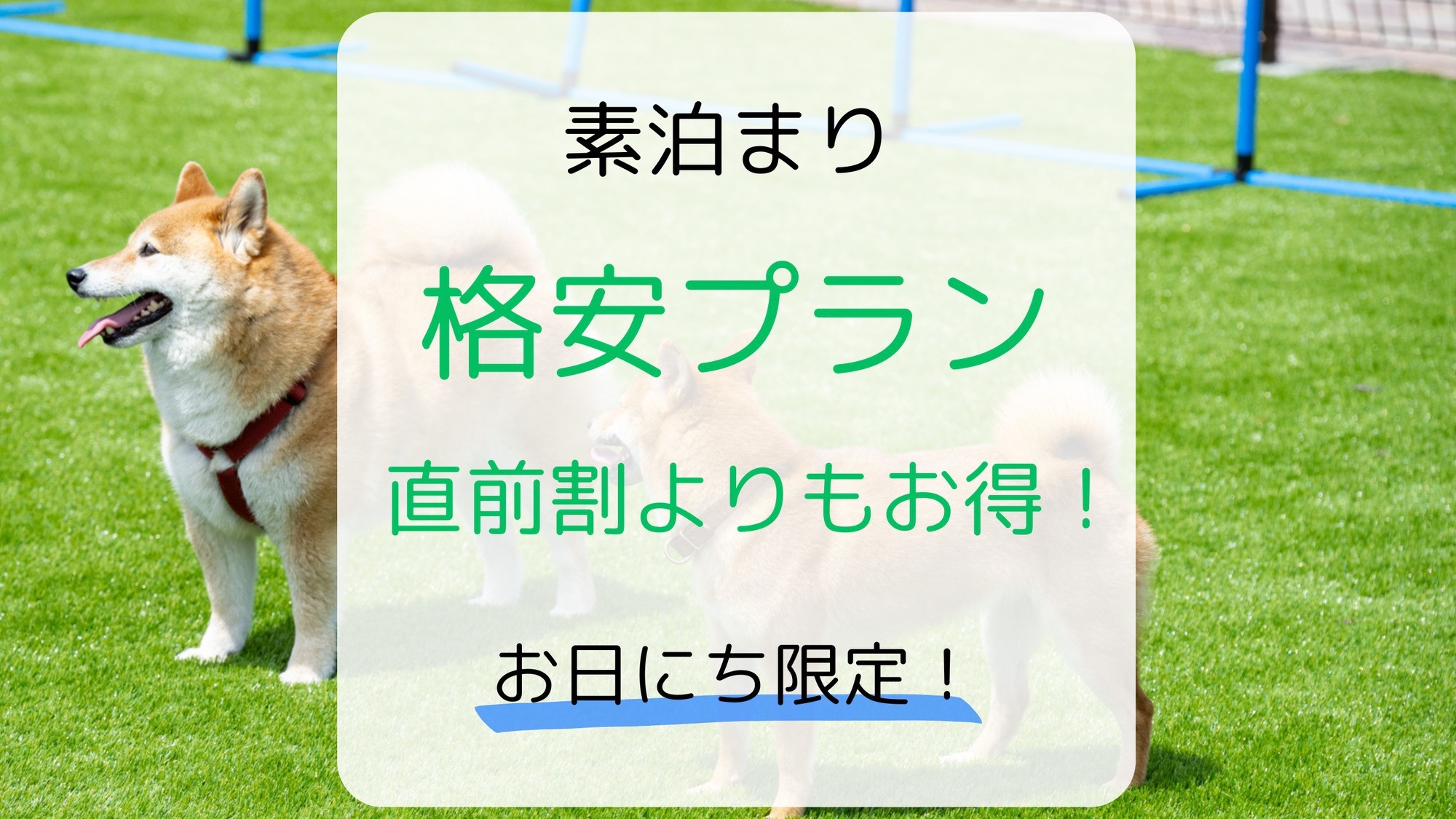 【お日にち限定】直前割よりさらにお得！プライベートテラスを満喫♪「格安プラン」（素泊まり）