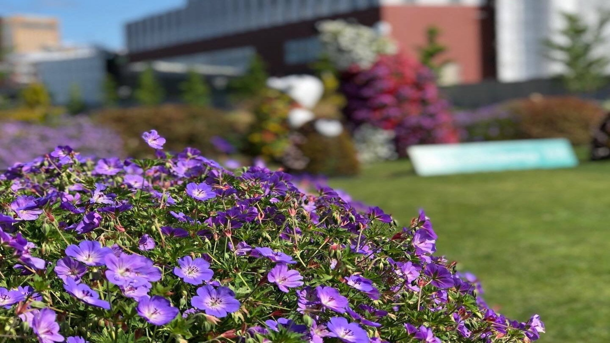 周辺には見所エリアが満載