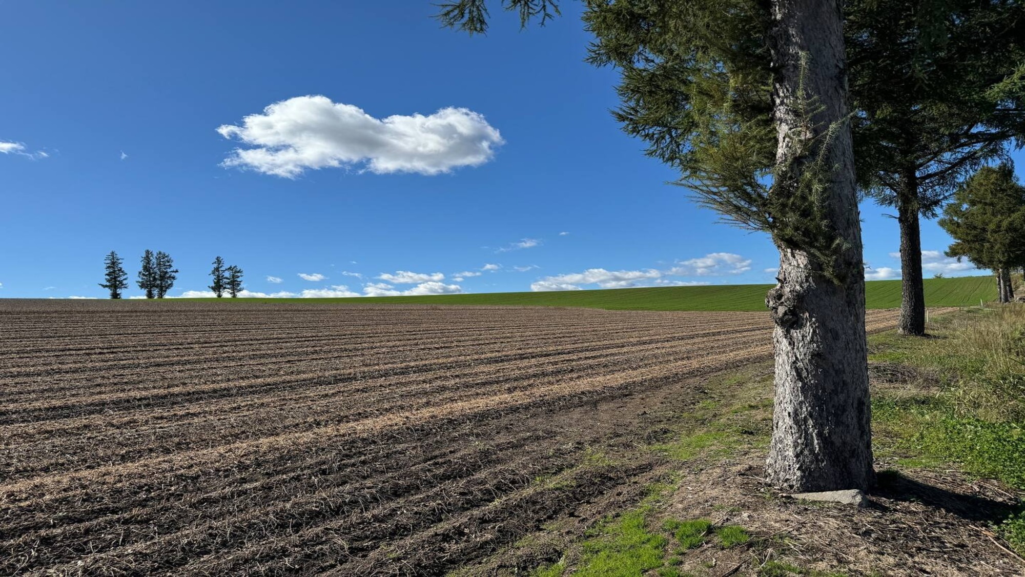 雄大な景色を眺めるドライブもいいですね