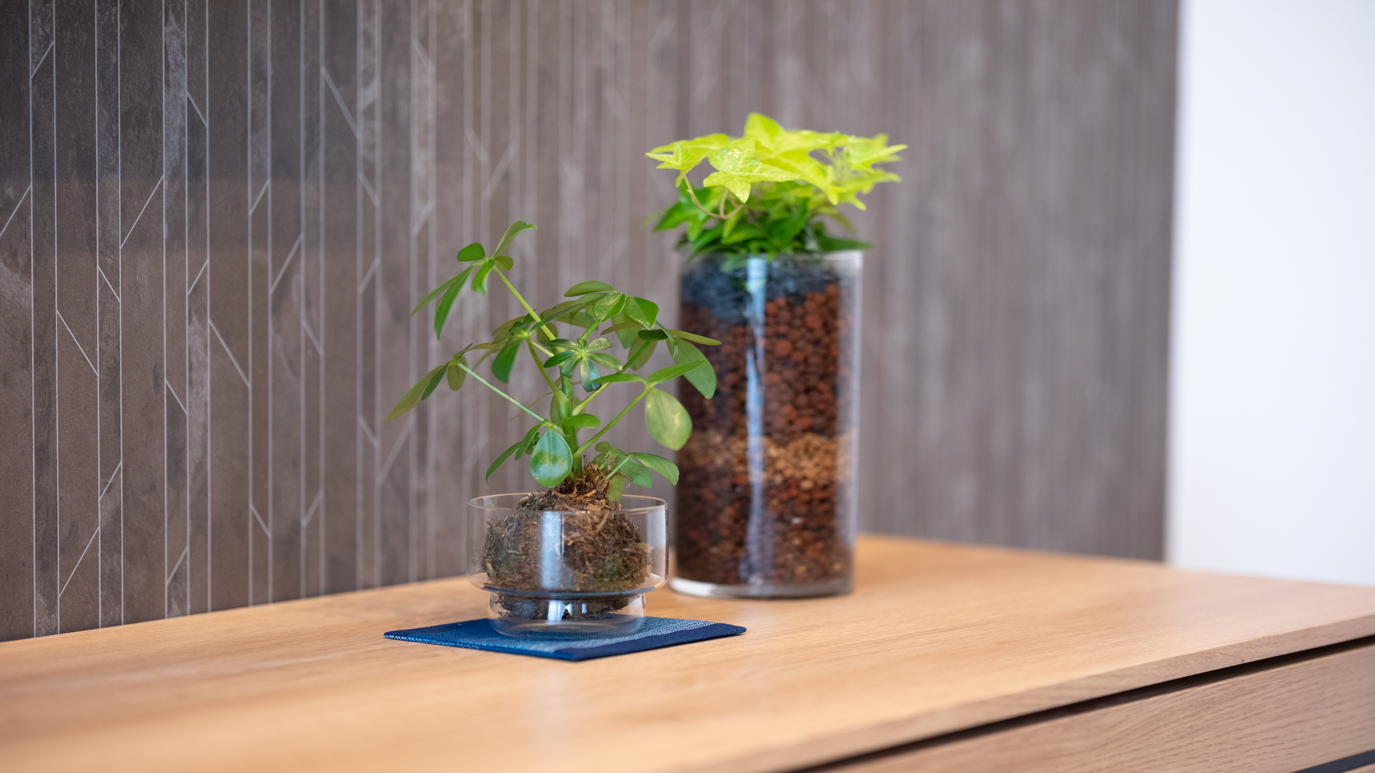 201◆お部屋には緑のアクセント