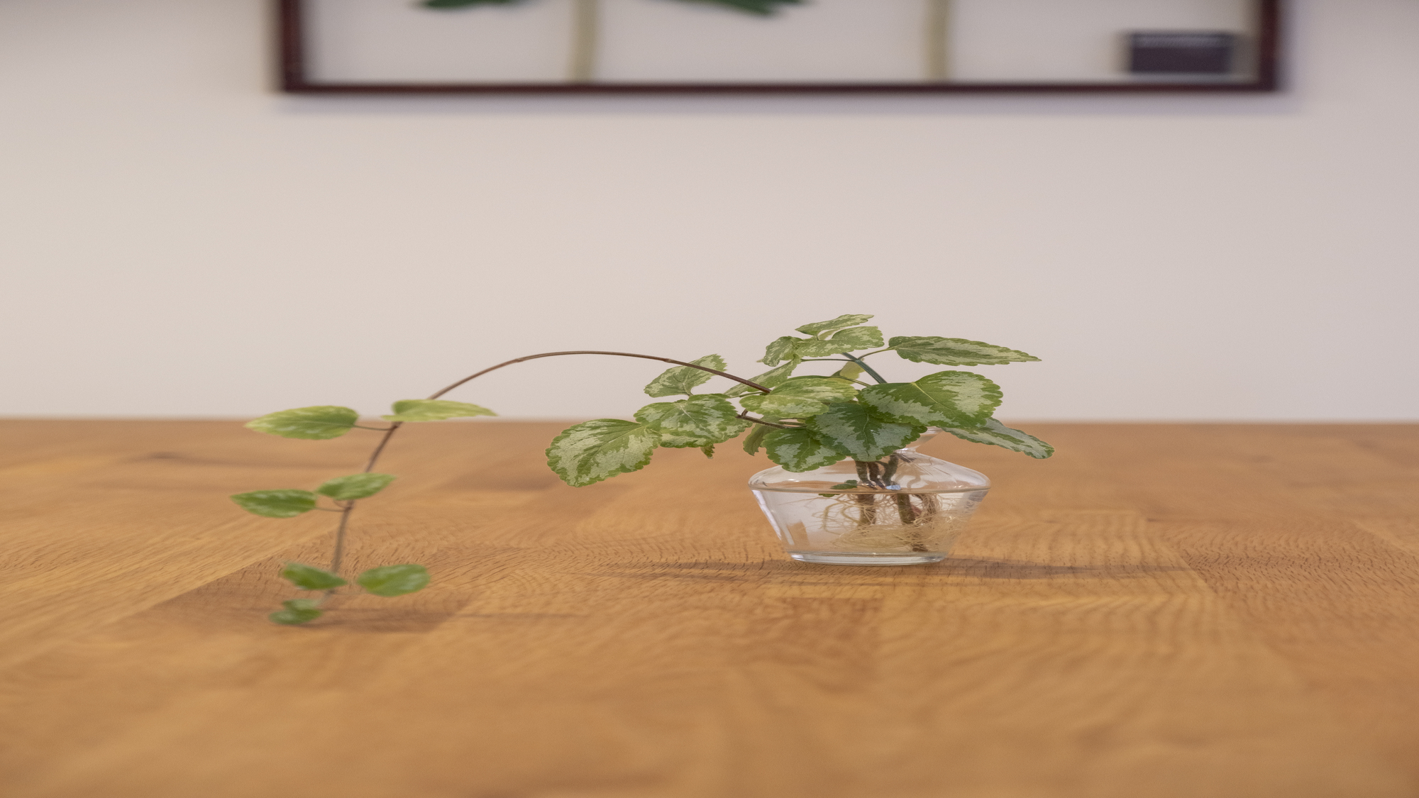 301◆お部屋のインテリアにもこだわりました