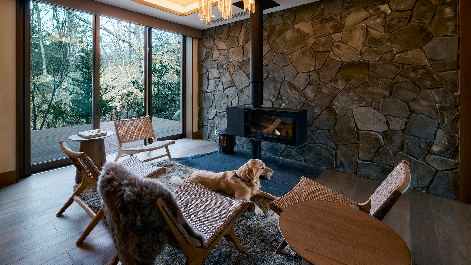 ｜CEDAR｜244平米・愛犬可