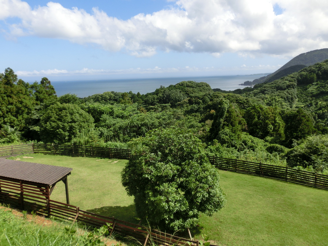 【平日プラン】どこでもわんちゃんと一緒！海が臨める客室専用展望温泉でゆったり