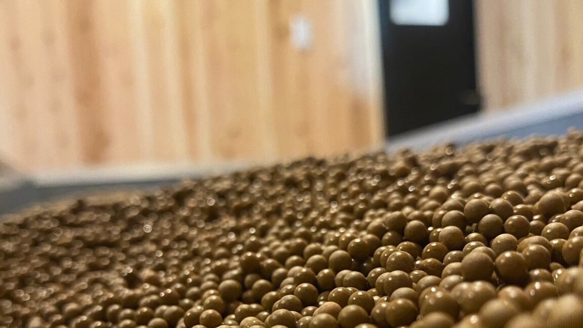 【気軽に島ととのい】サンドバス付き・おひとり様温活ステイ