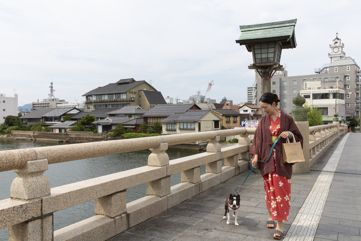 写真2