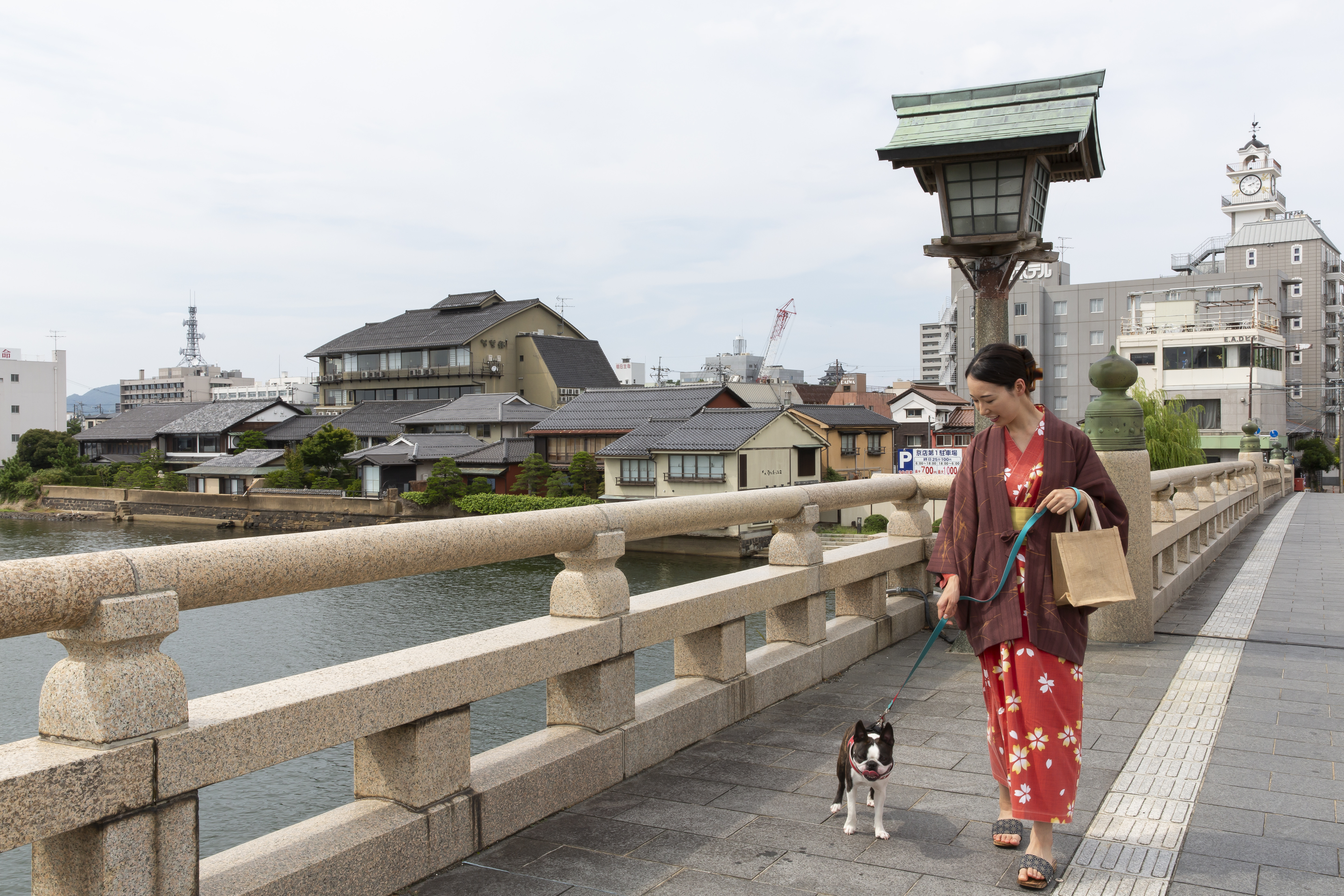 愛犬とお散歩