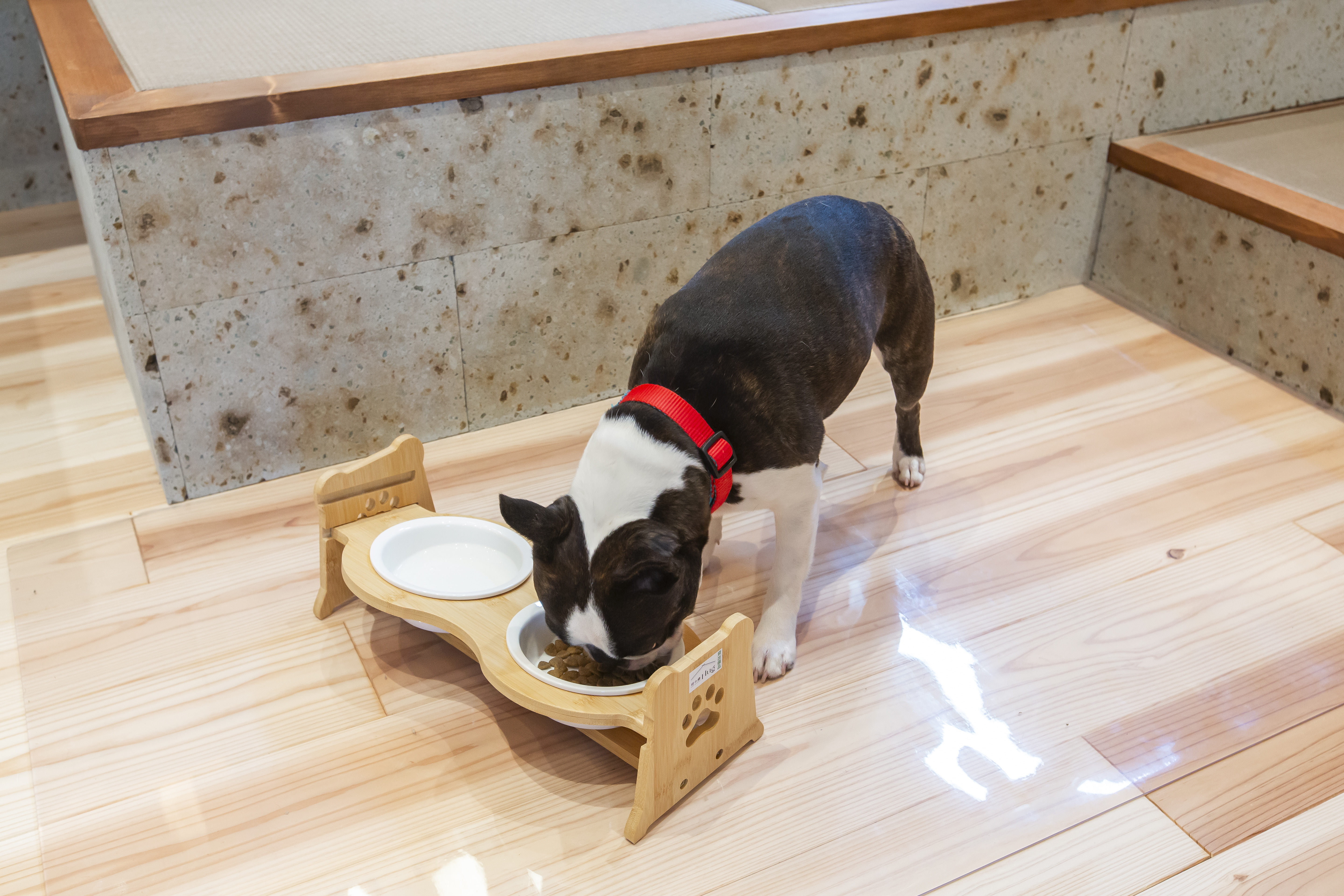愛犬／食器