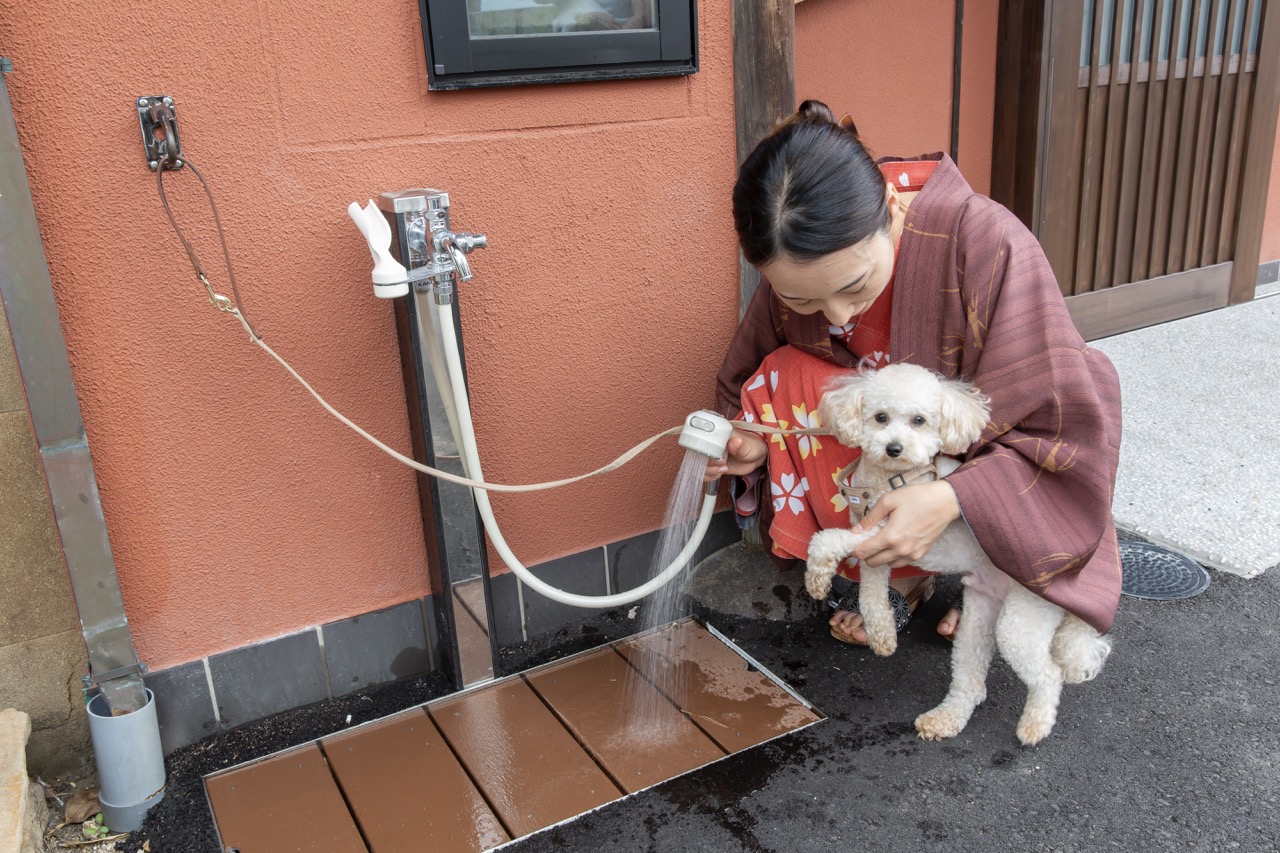 愛犬／足洗い場　