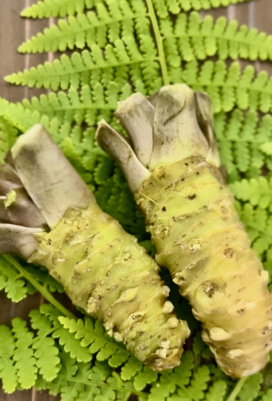 夕食　伊豆の生わさび