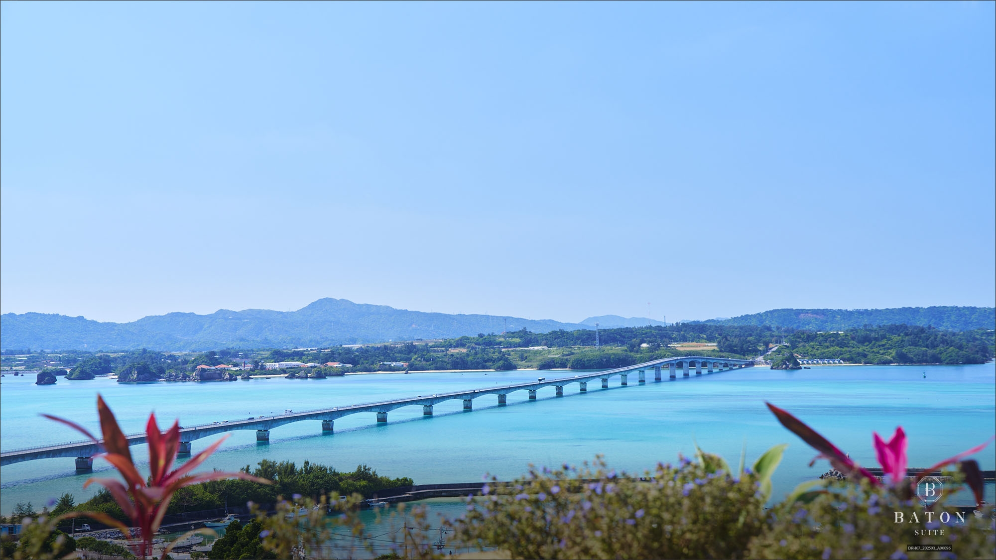 オンライン決済限定プラン（素泊り）