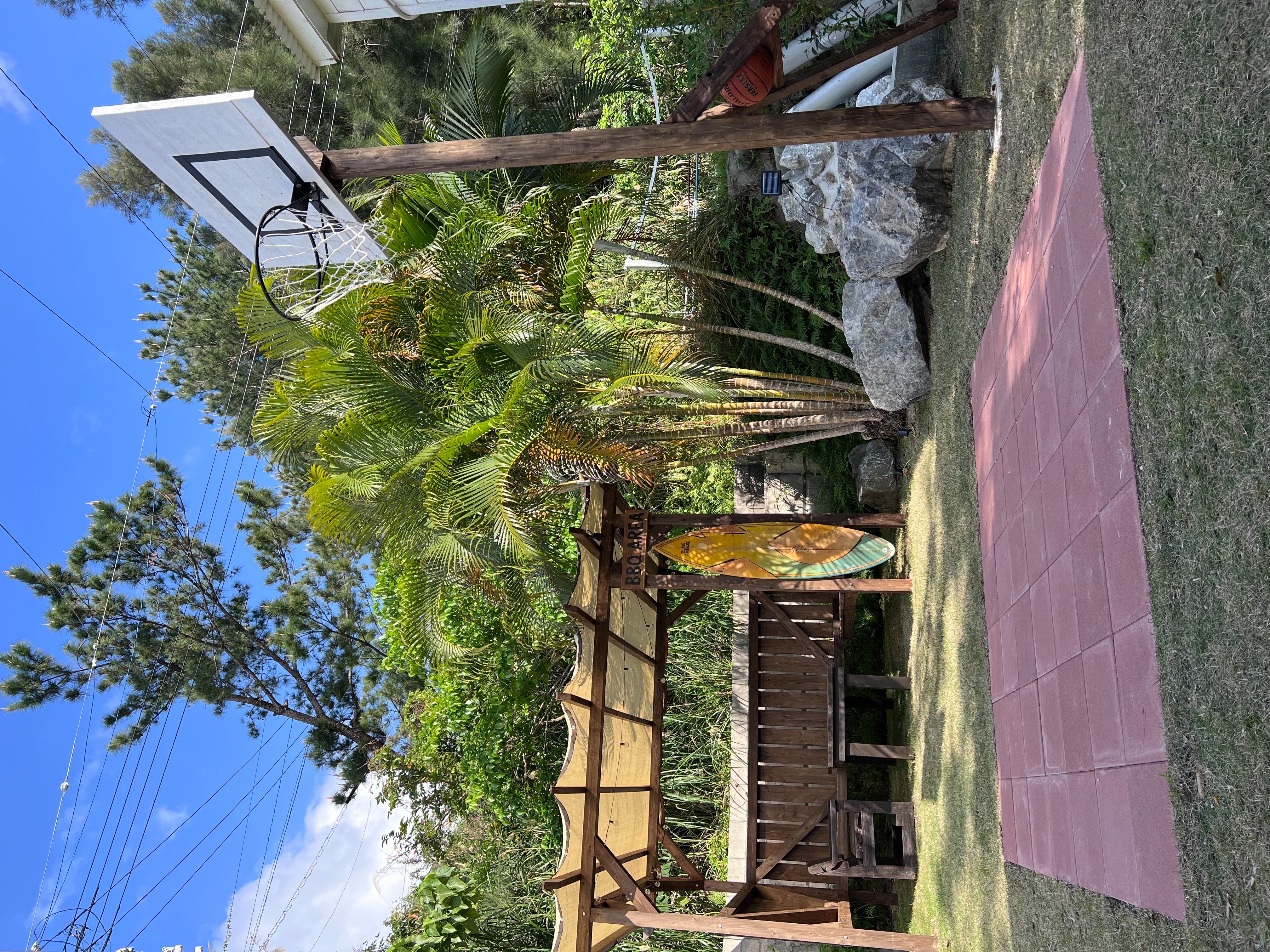 庭・バスケットボールコート