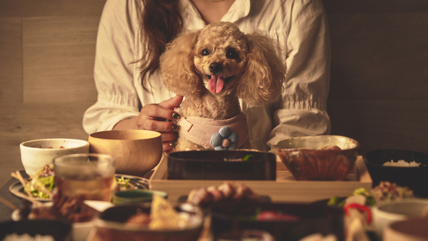 2連泊以上●ペットと泊まれる宿　1泊2食付き【スタンダード】夕食17:30/朝食7:45