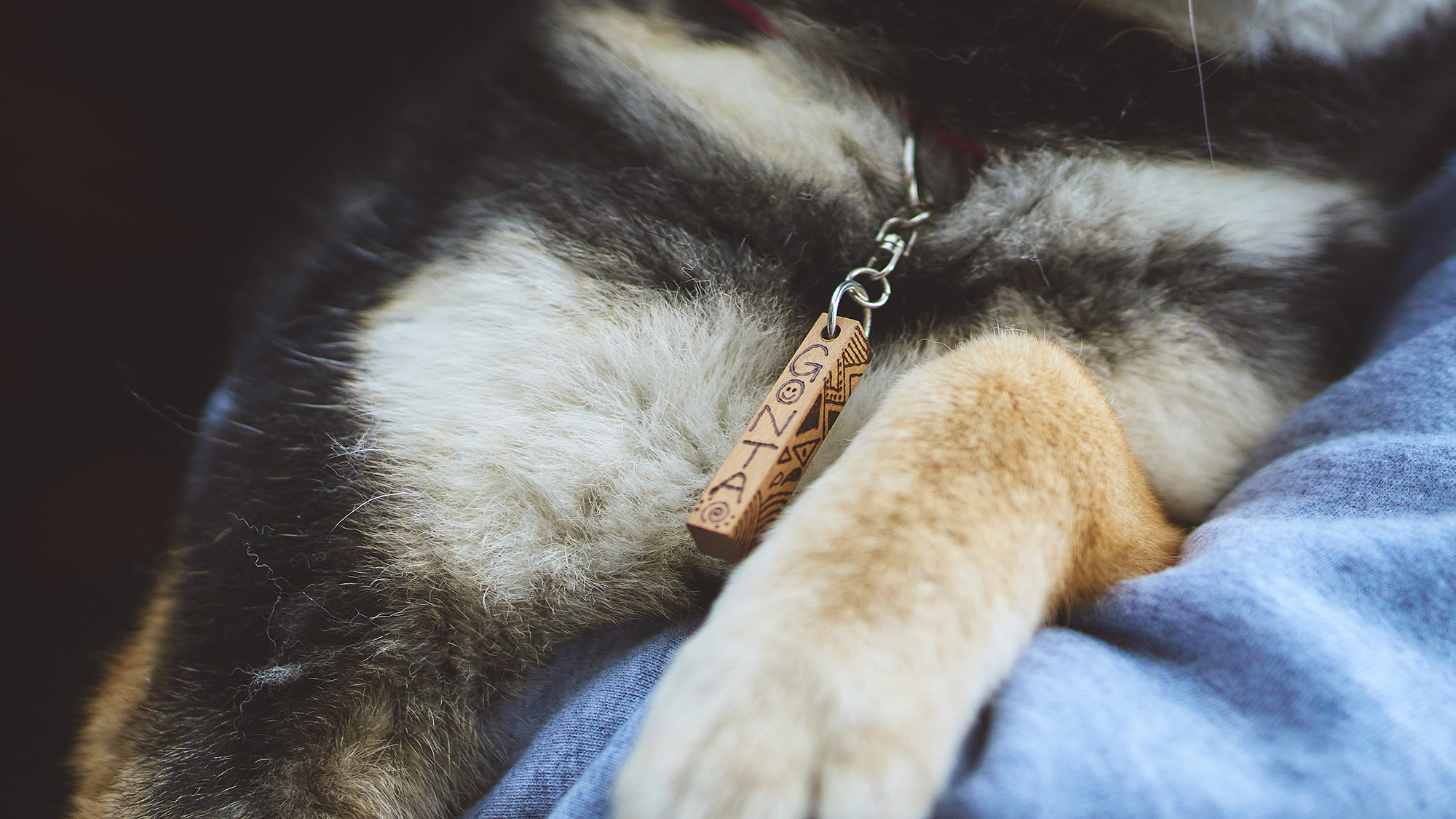 【工芸体験】木のキーホルダー