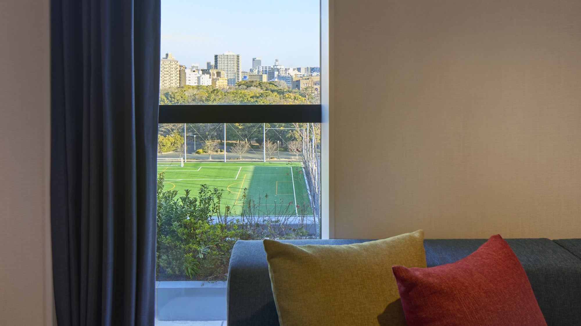 フィールドビュー