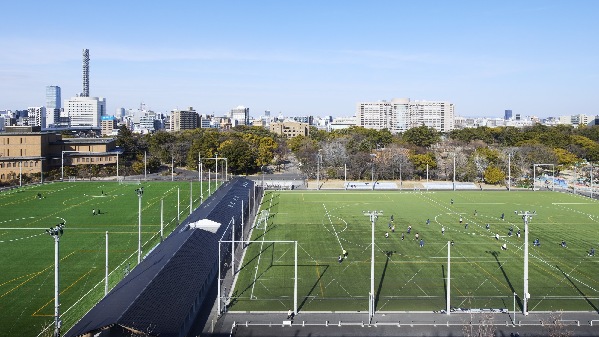 フィールドビュー