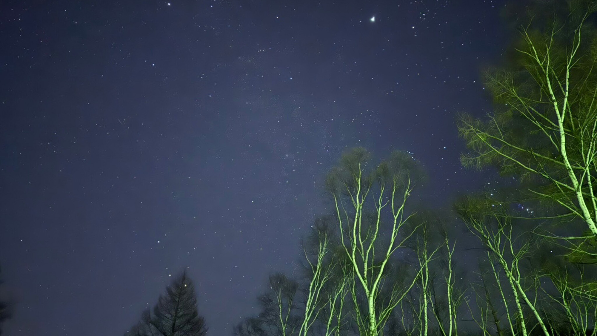 ・【夜景】天気の良い夜には降るような満天の星空をご覧いただけます
