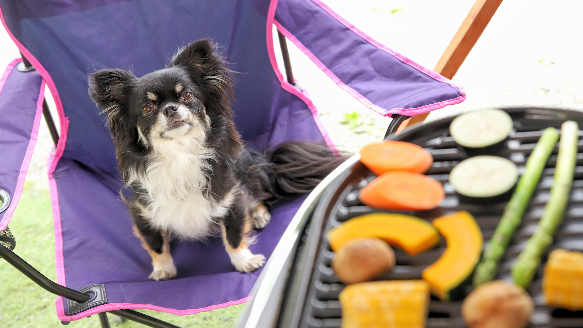 【その他】BBQコンロのレンタル、食材もご用意可（有料）宿泊3日前までに電話でお申し付けください