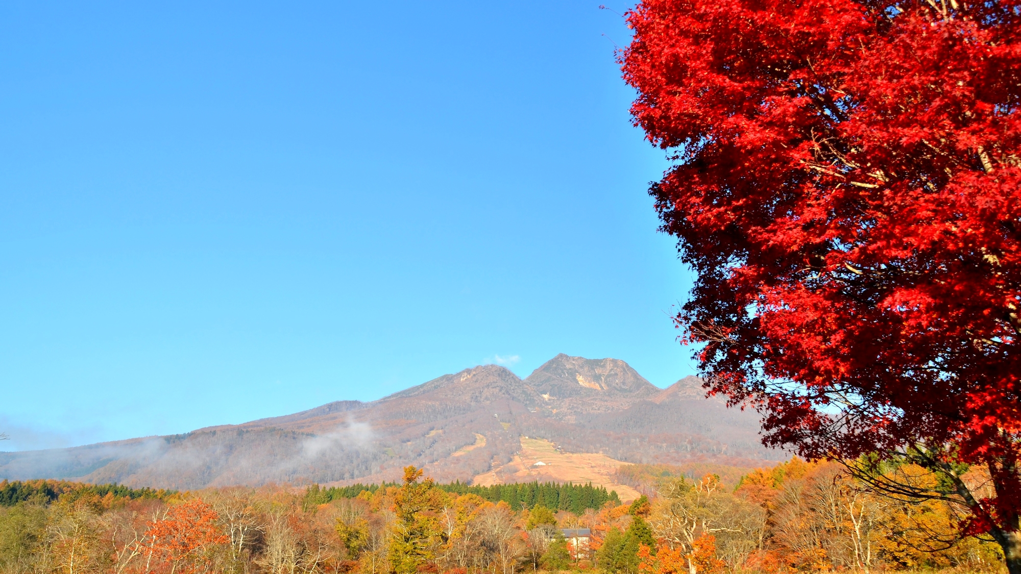 【周辺・景観】妙高の風景