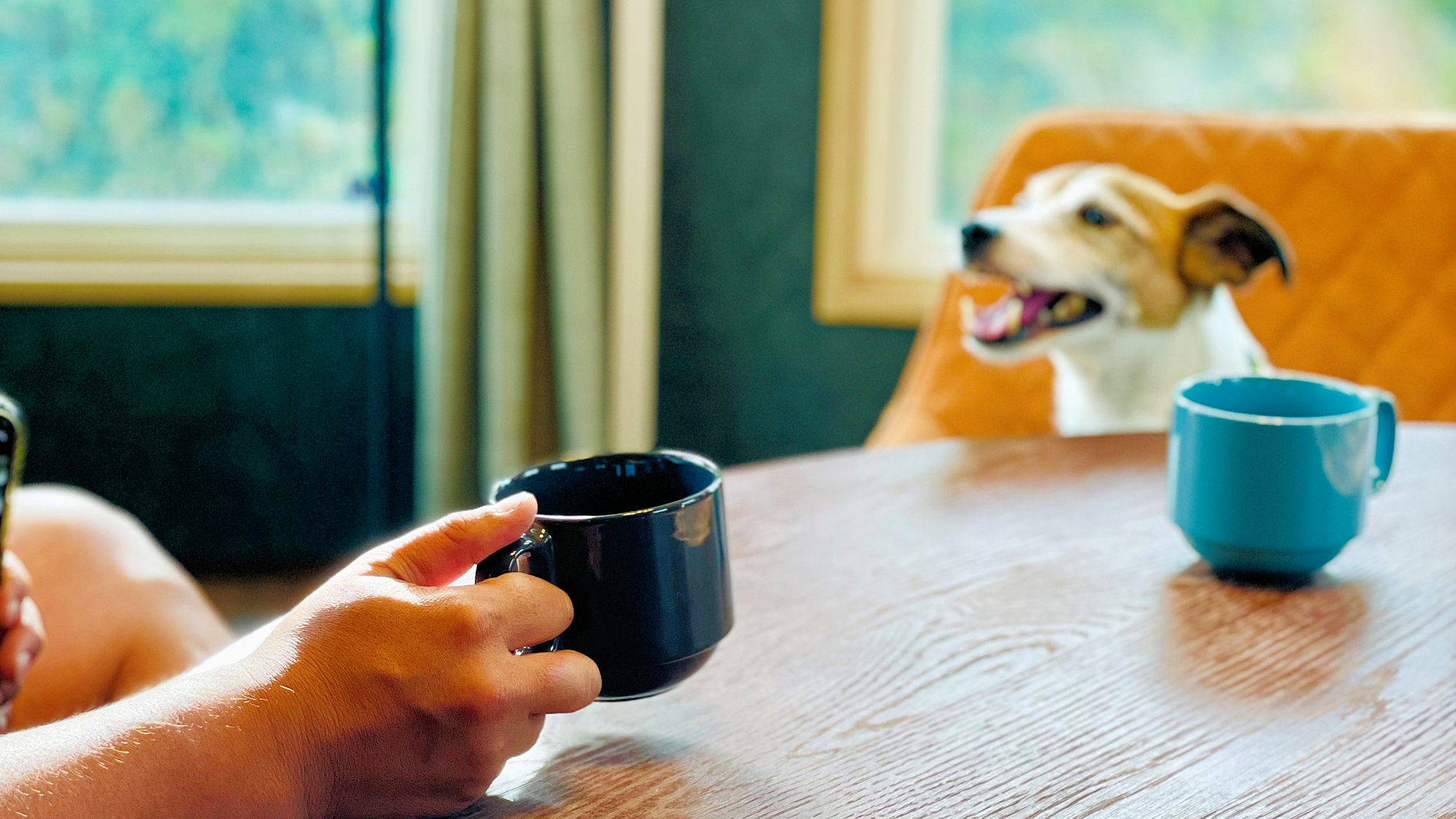 【その他】ワンちゃんとのご旅行イメージ
