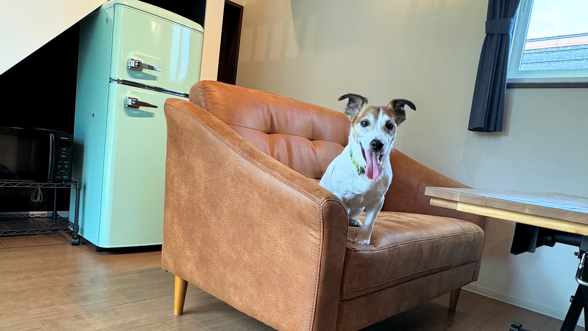 【その他】ワンちゃんとのご旅行イメージ