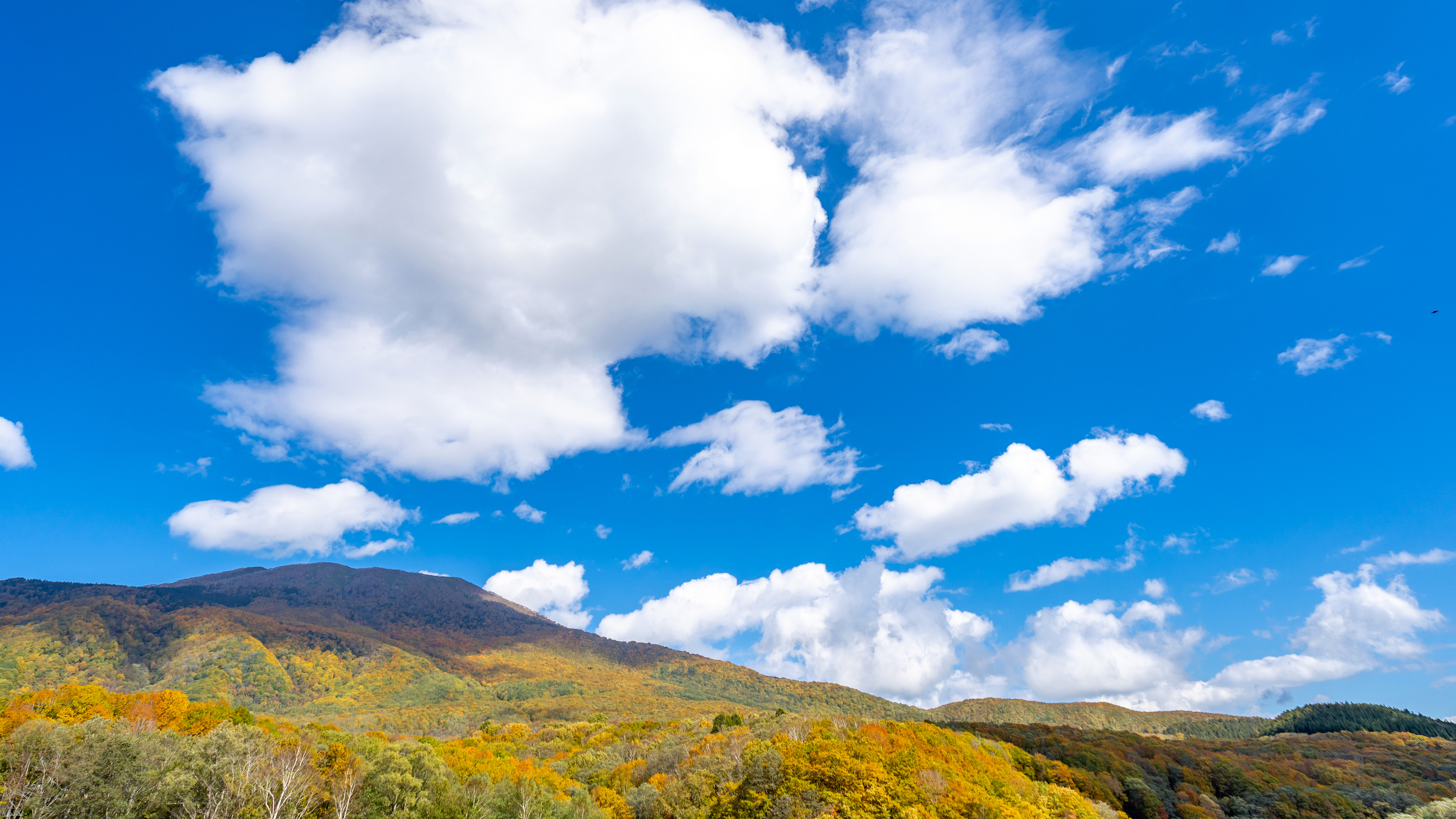 【周辺・景観】妙高の風景