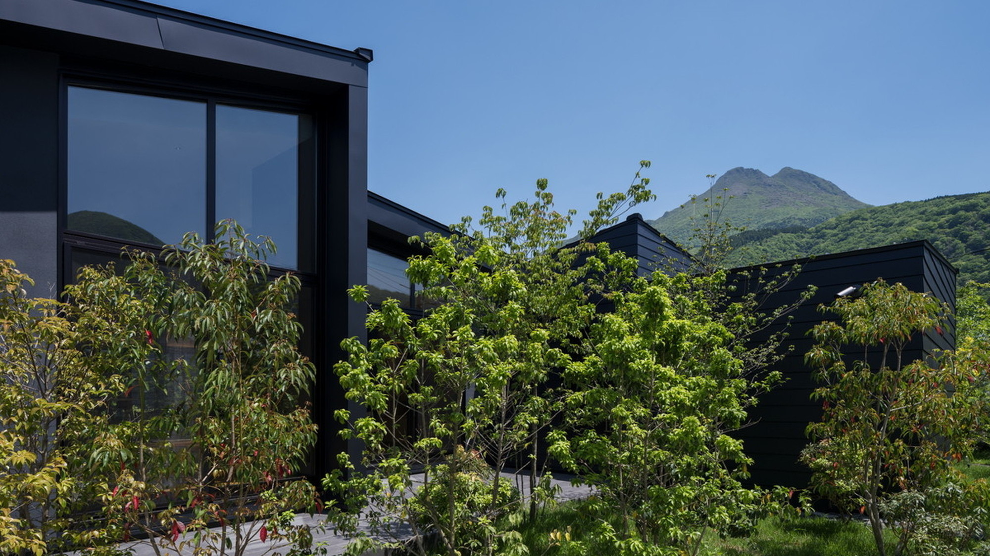 外観　由布岳と深緑