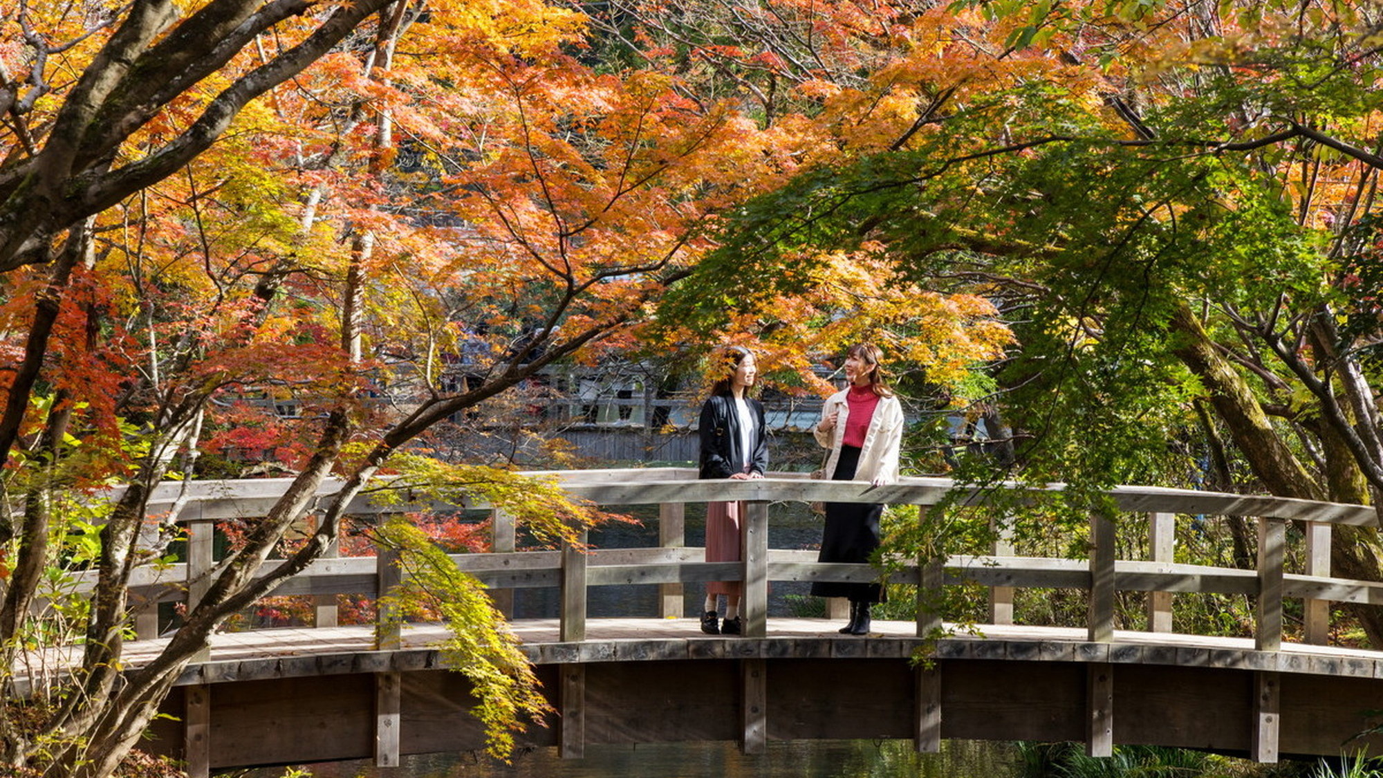 紅葉の季節が絵になります
