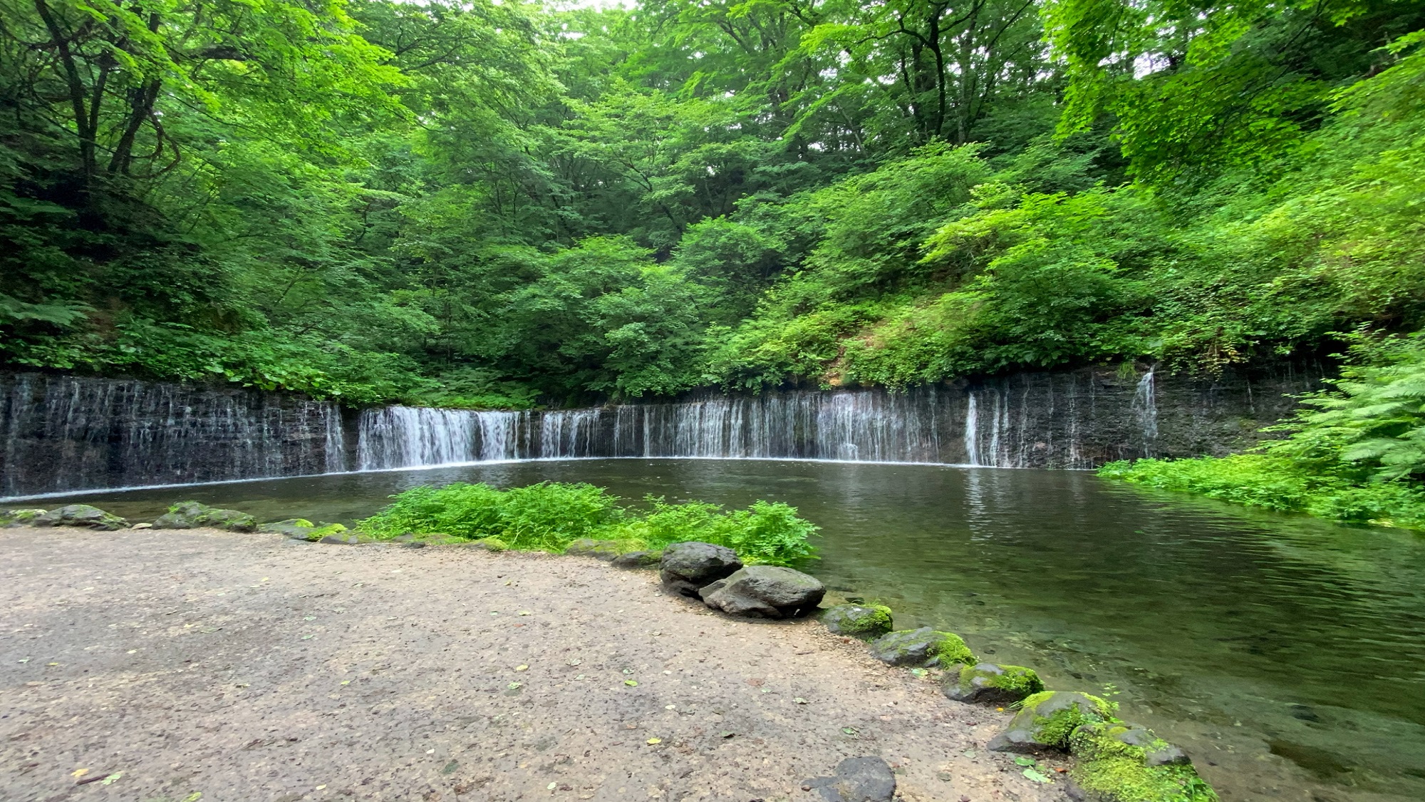 「白糸の滝/春」車で約30分