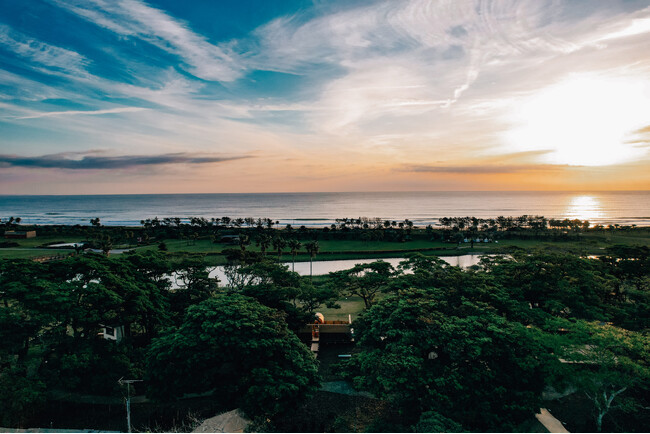 AOSHIMA PICNIC CLUB全景