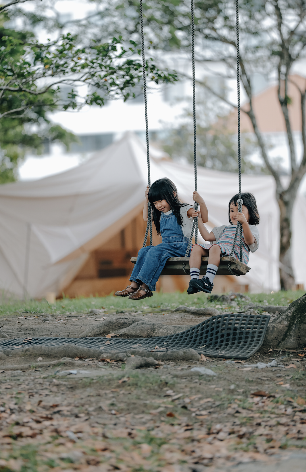 タブの木のブランコ