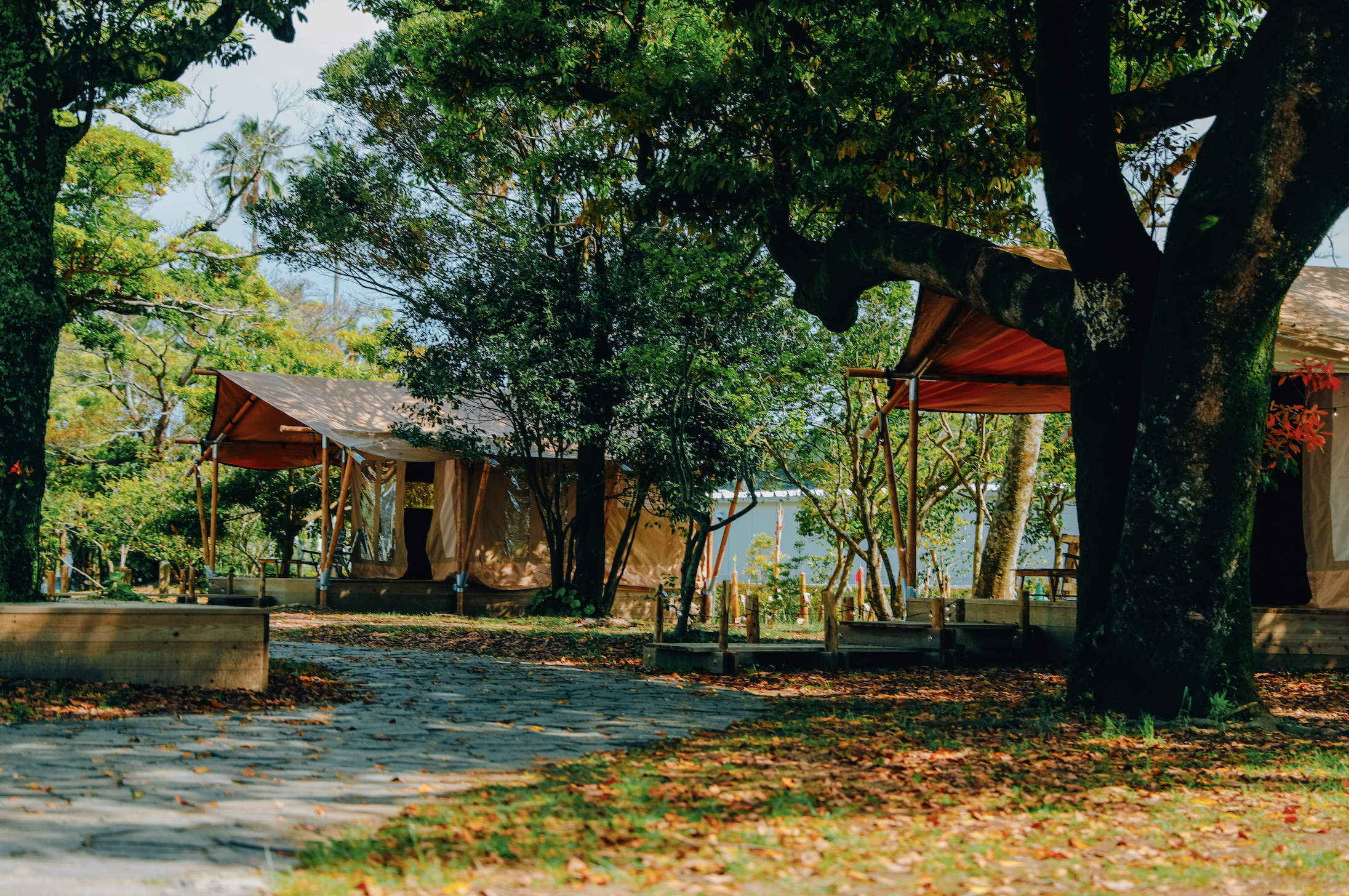 SAFARITENT&タブの森