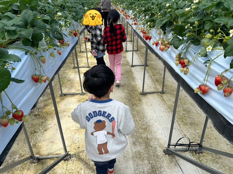 大坪だんだんファーム