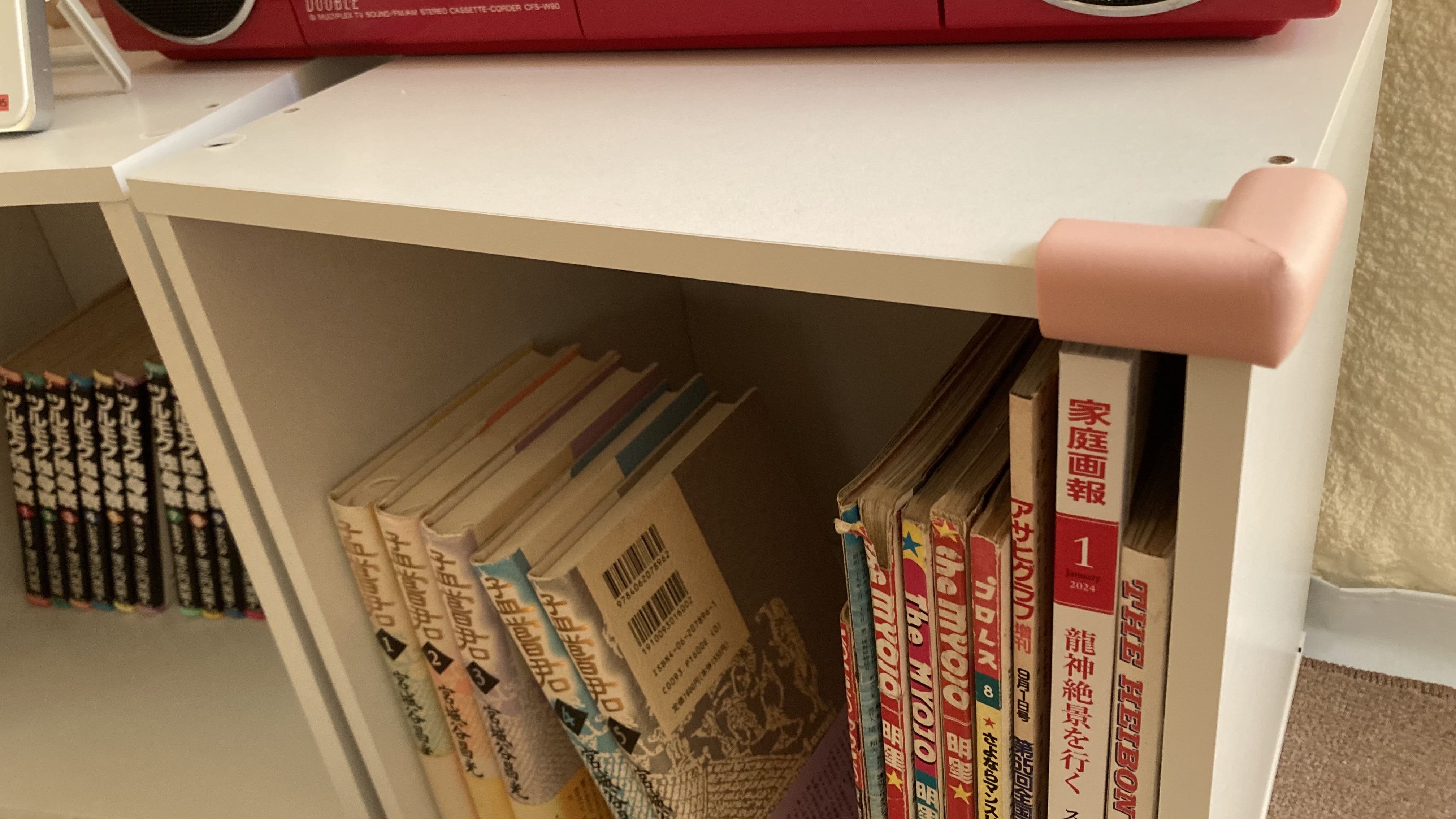 インスタントハウス中