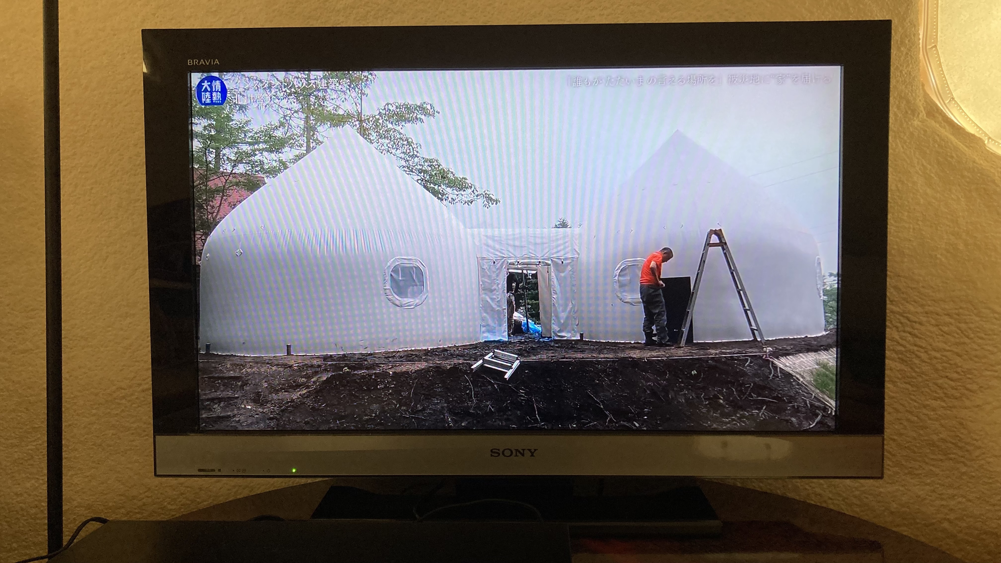 インスタントハウス中