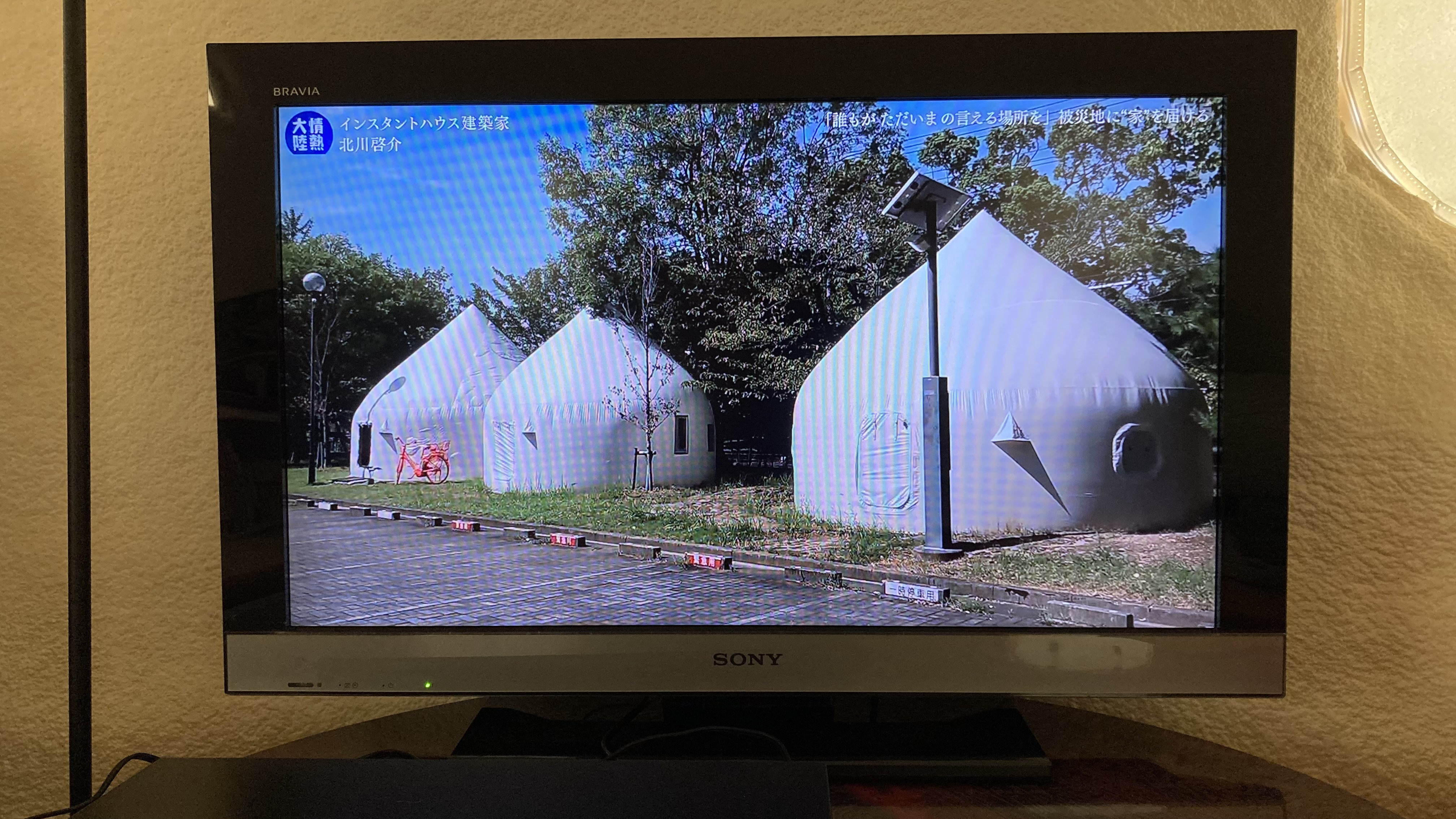 インスタントハウス中