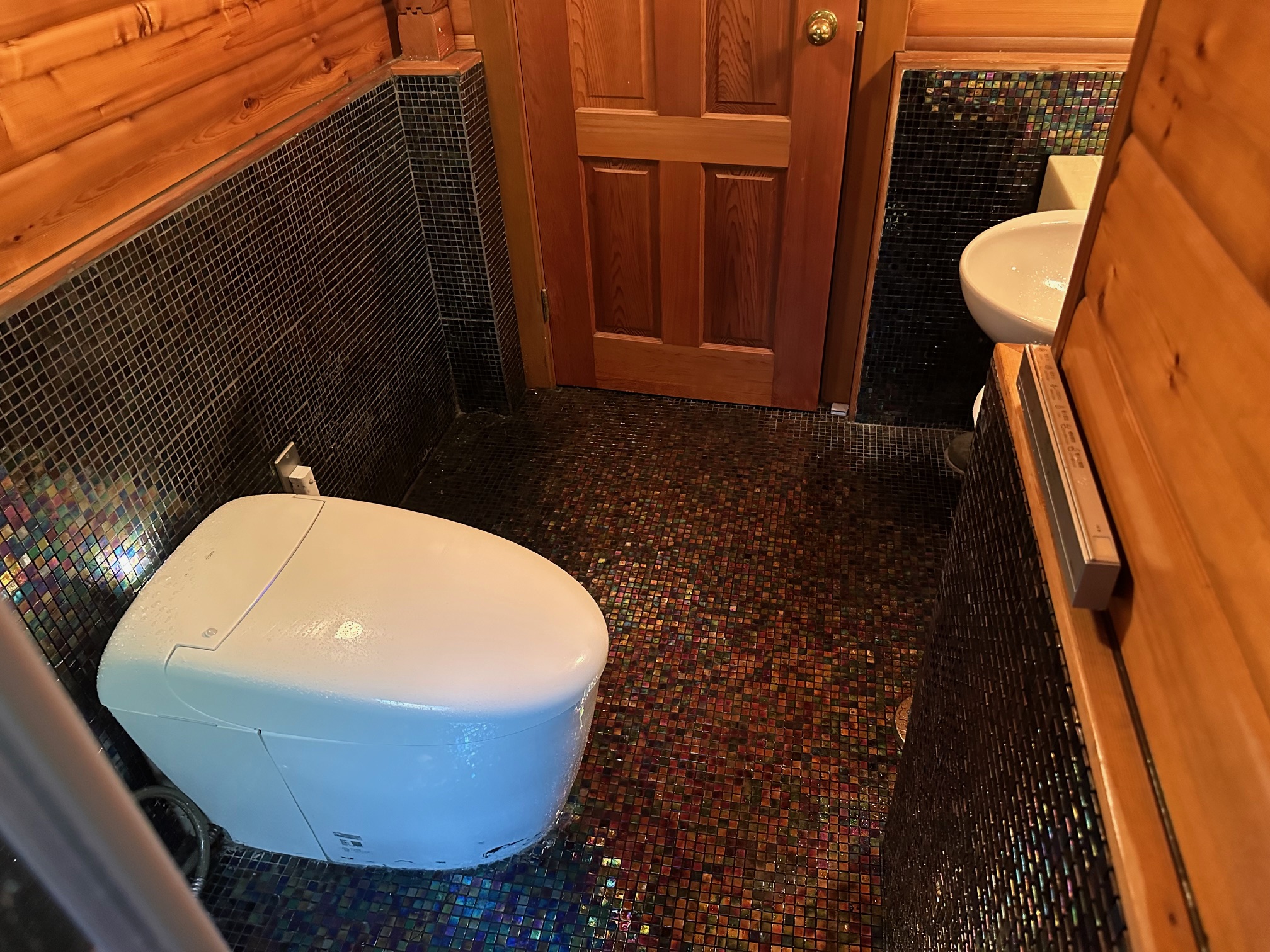 廊下に接続するシャワー室（洗面・トイレ付）