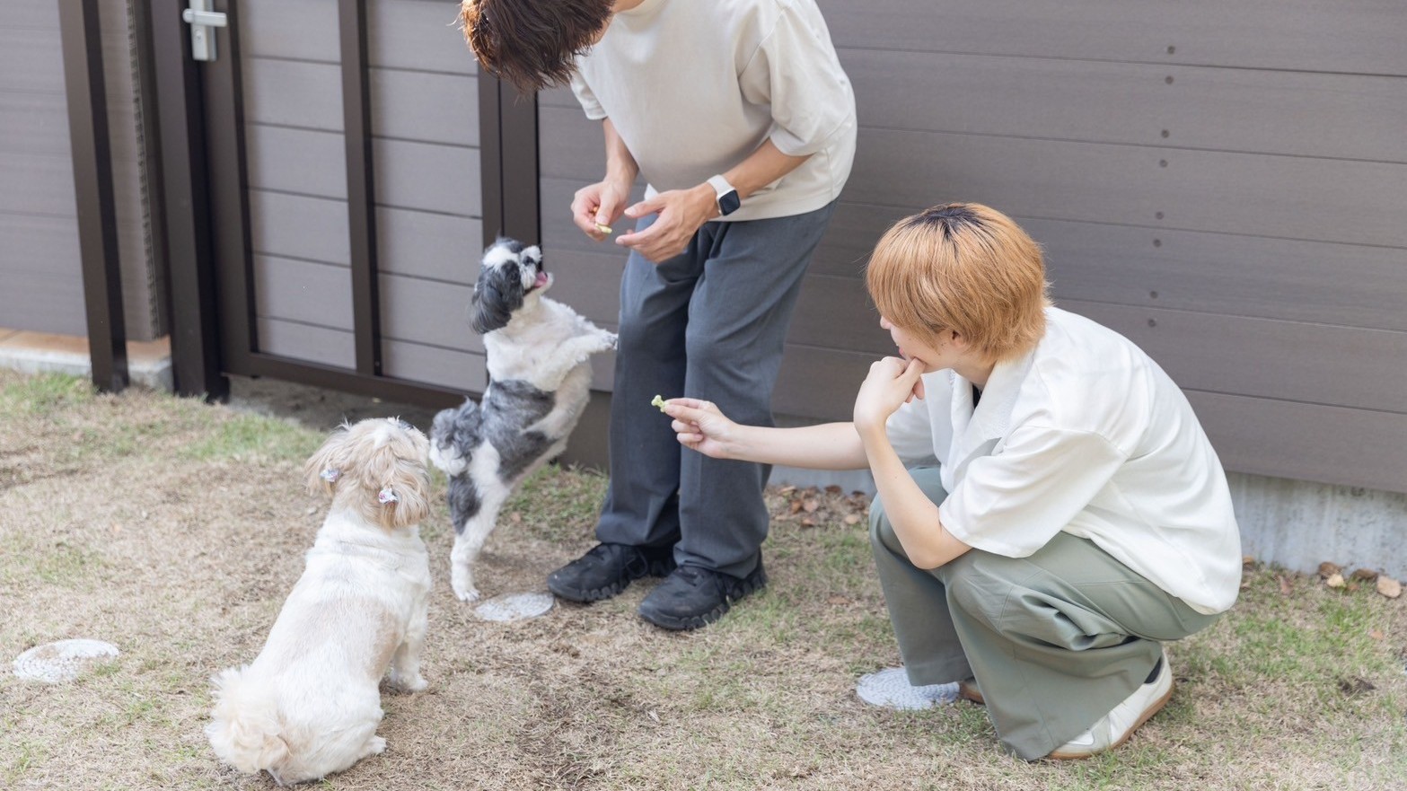 ペットと楽しめるグランピング