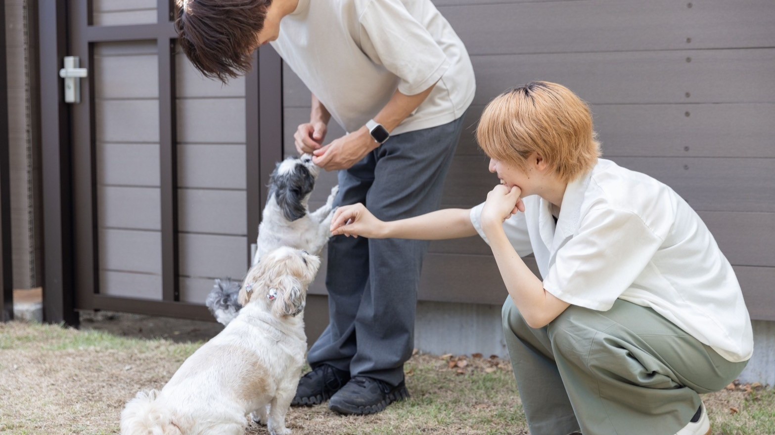 ペットと楽しめるグランピング