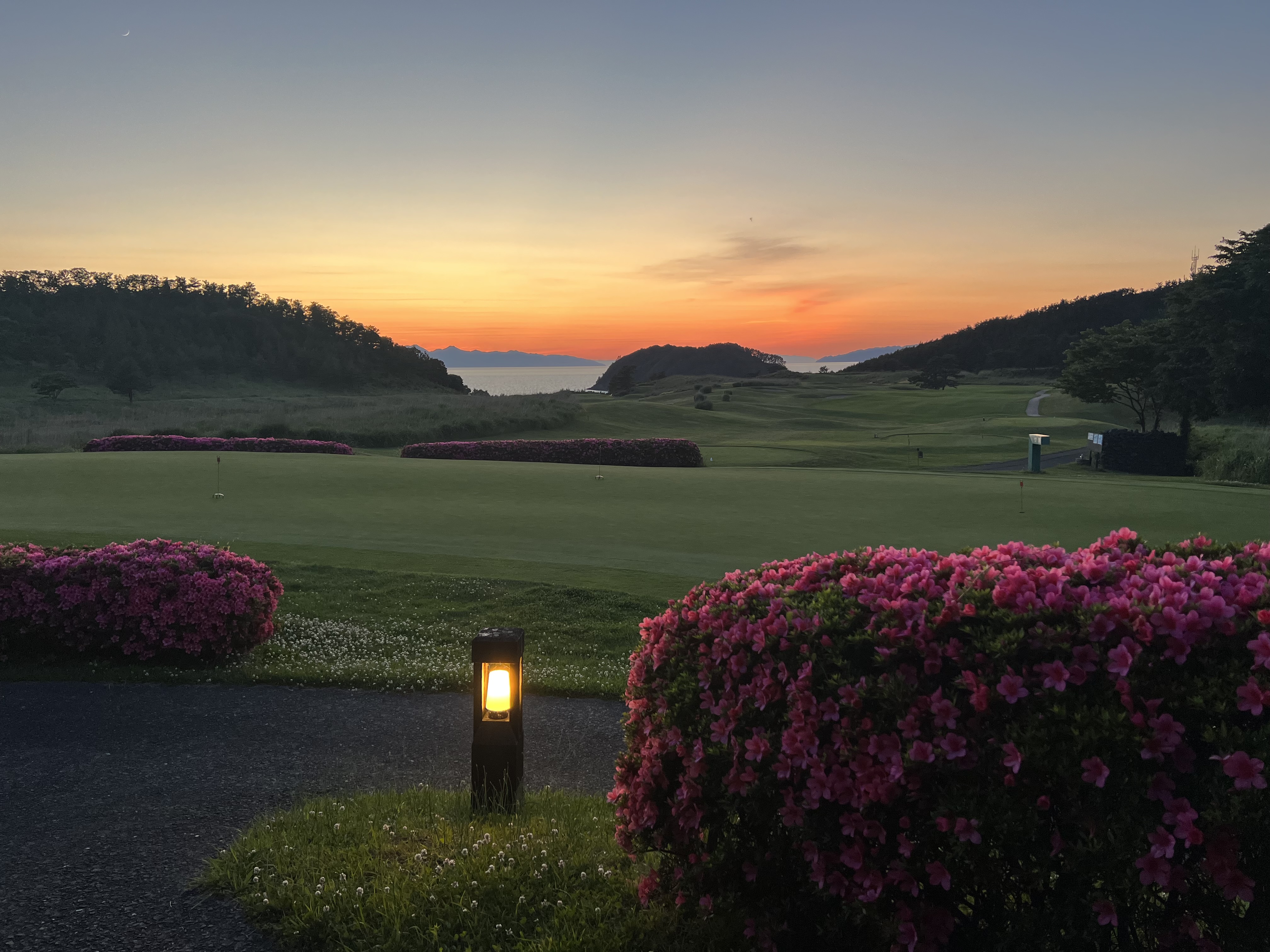 練習用グリーンとツツジ