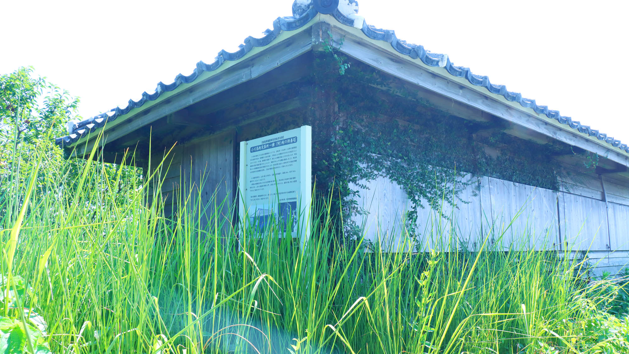 【小川島鯨見張所(鯨供養所)】玄界灘捕鯨業に関する遺構として現存する建造物