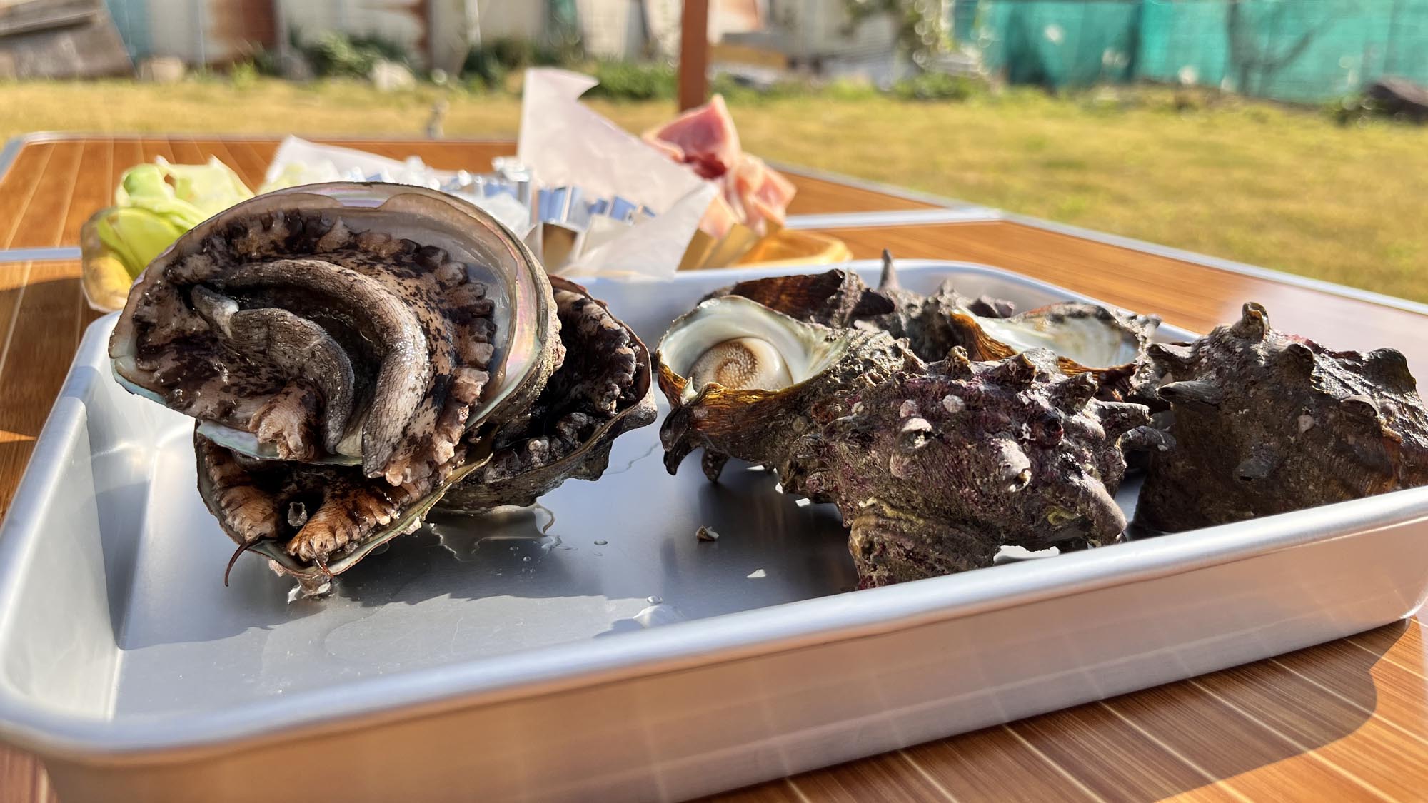 【海鮮BBQ食材一例】サザエやアワビなどの海鮮も！