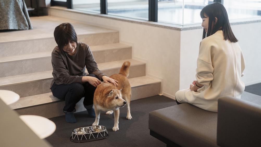 【DOG SPA・DOG STAY オプションプラン！】愛犬との滞在を彩るドッグリゾート＜素泊まり＞