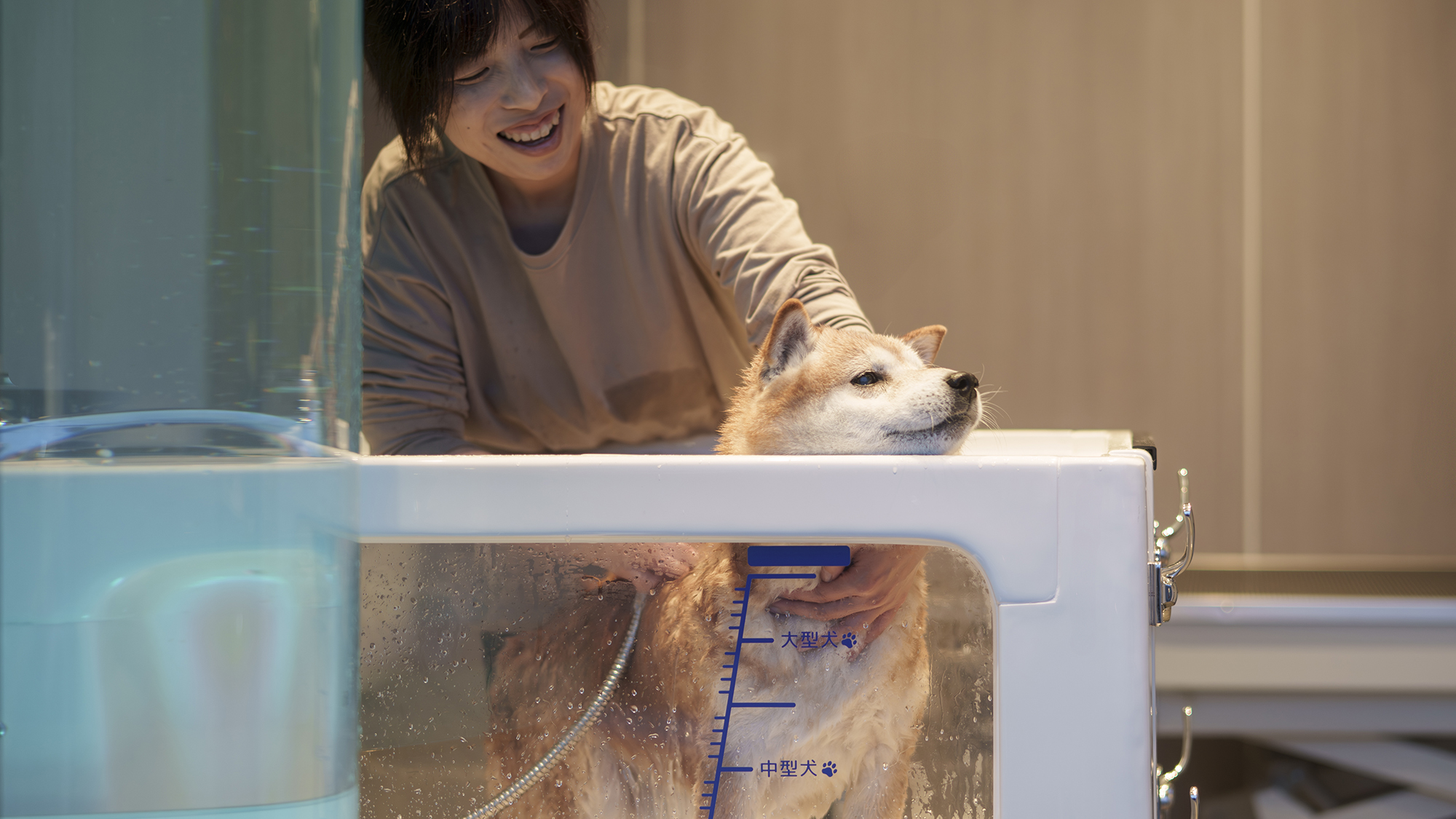 ドッグウォッシュ