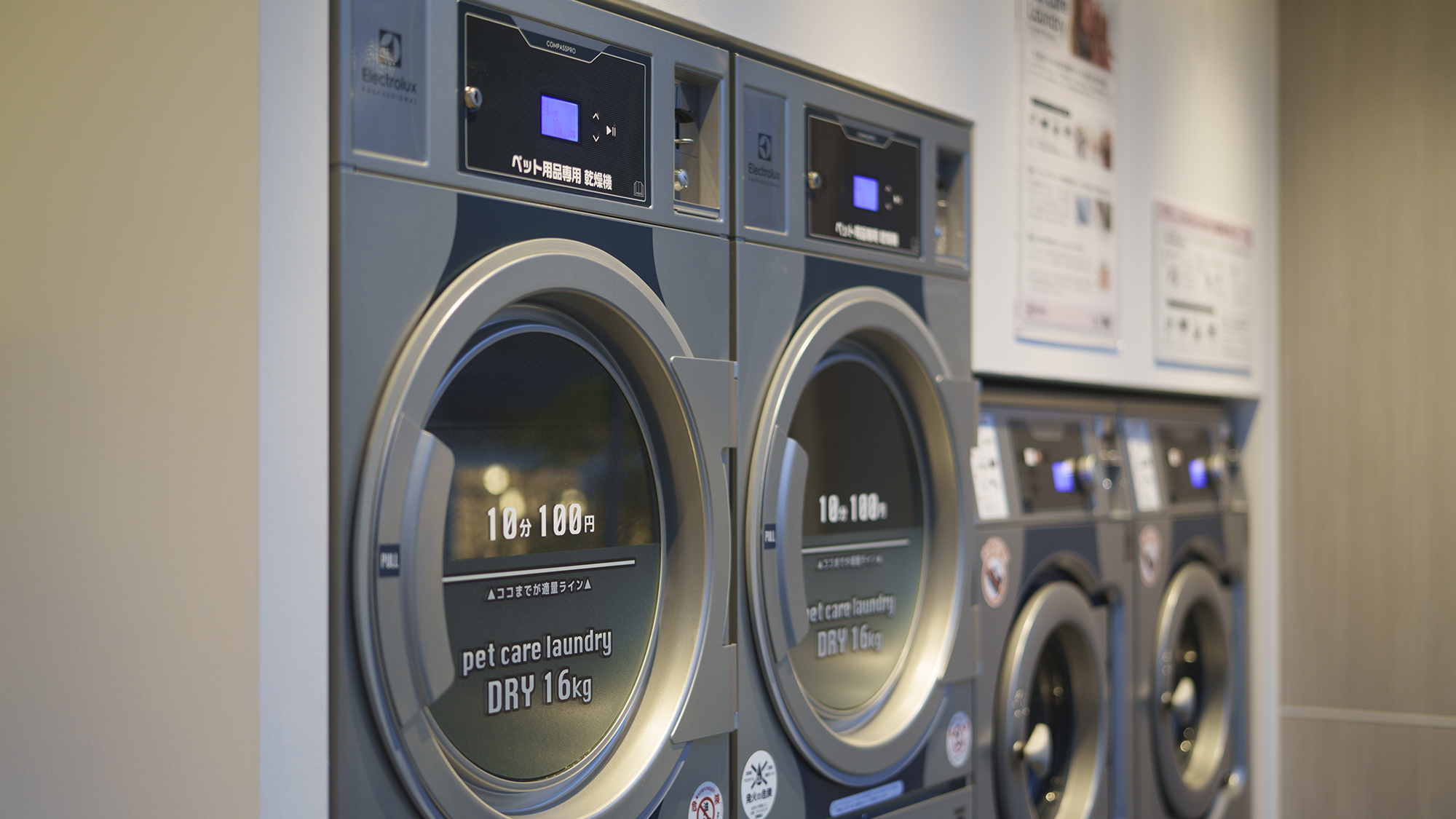 ドッグランドリー