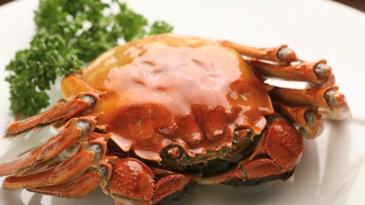 【秋の美食旅】上海の秋の風物詩・上海蟹を贅沢に味わう「期間限定・上海蟹コース」