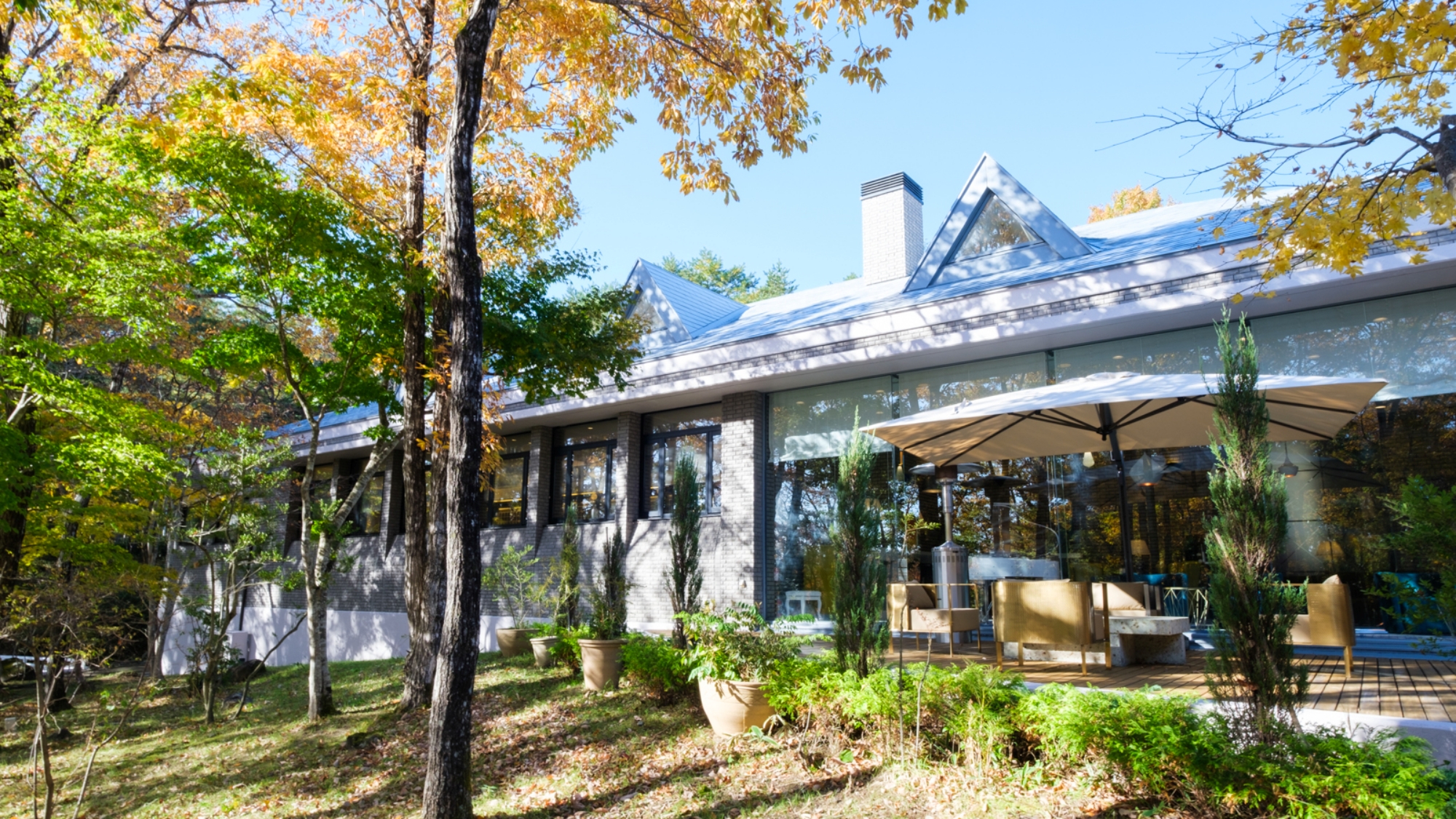 ロビーから続く広々ウッドデッキは外の自然とリンクするデザイン