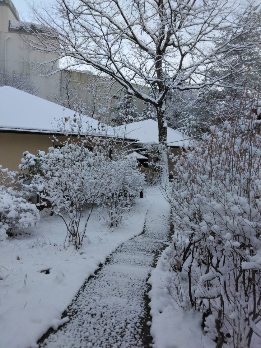 【期間限定　素泊まり　得々プラン30％OFF】静寂の日光連山の自然に包まれてゆったり気まま旅