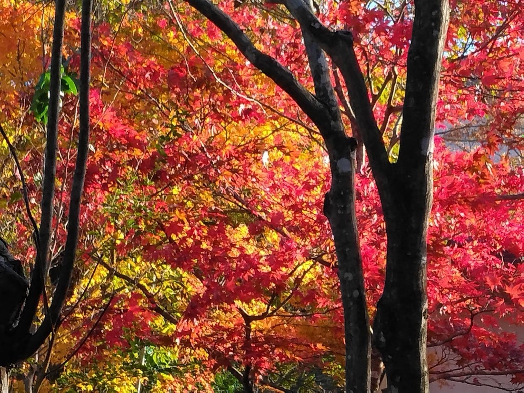 【期間限定　素泊まり　得々プラン30％OFF】静寂の日光連山の自然に包まれてゆったり気まま旅