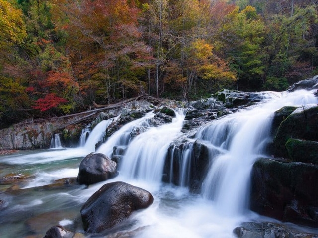 【一棟貸切×家族時間】川のせせらぎに包まれる休日。安心のプライベート露天風呂とツリーハウス＆BBQ
